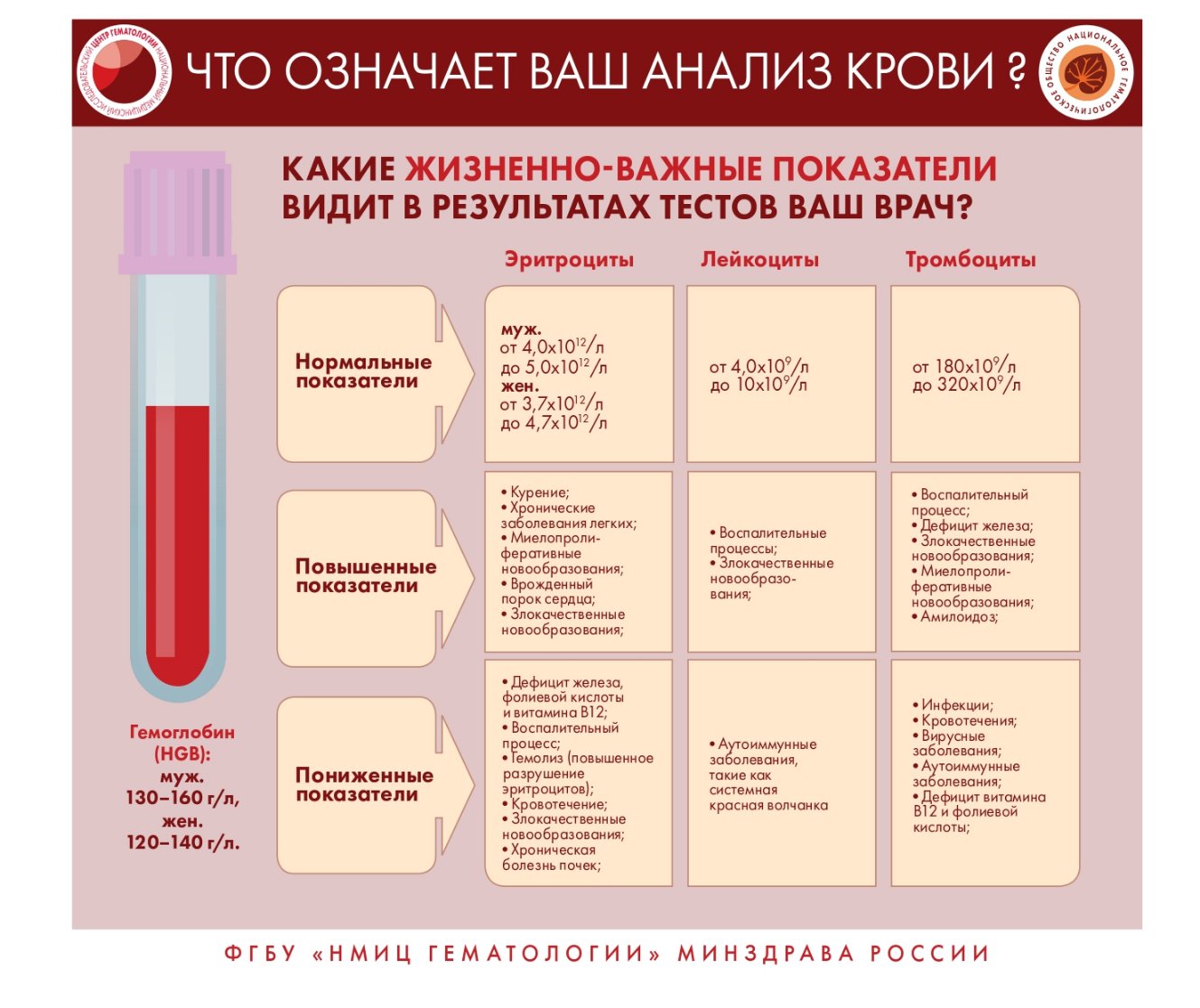 Инфографика page 0003