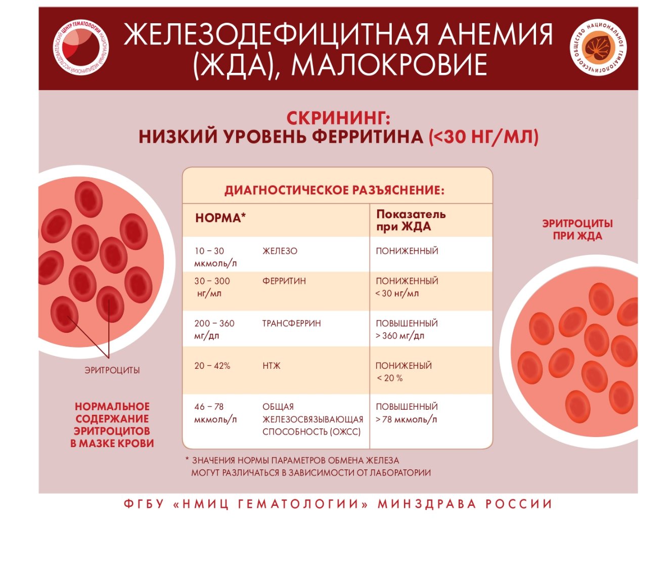 Инфографика page 0008