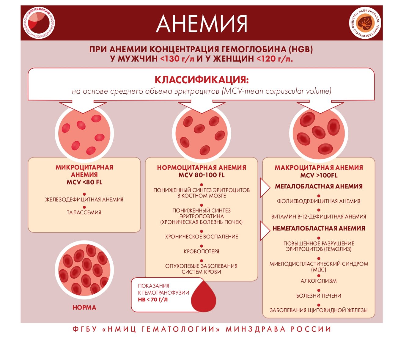 Инфографика page 0012